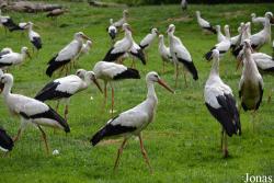 NaturZoo Rheine