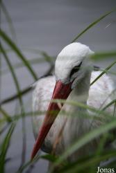NaturZoo Rheine