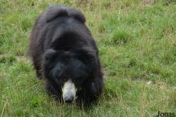 NaturZoo Rheine