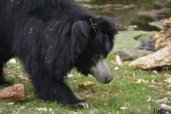 NaturZoo Rheine