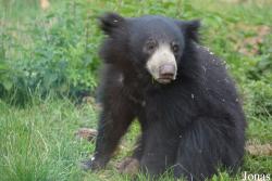 NaturZoo Rheine