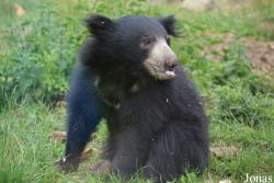 NaturZoo Rheine