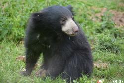 NaturZoo Rheine