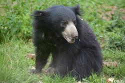NaturZoo Rheine
