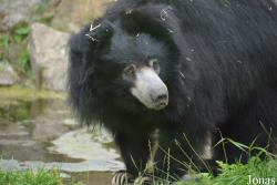NaturZoo Rheine