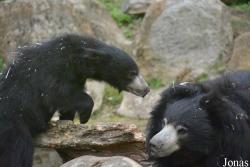 NaturZoo Rheine