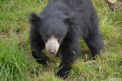 NaturZoo Rheine
