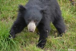 NaturZoo Rheine