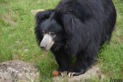 NaturZoo Rheine