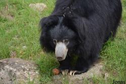 NaturZoo Rheine