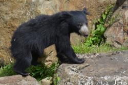 NaturZoo Rheine