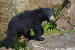 NaturZoo Rheine