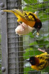 NaturZoo Rheine