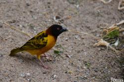 NaturZoo Rheine