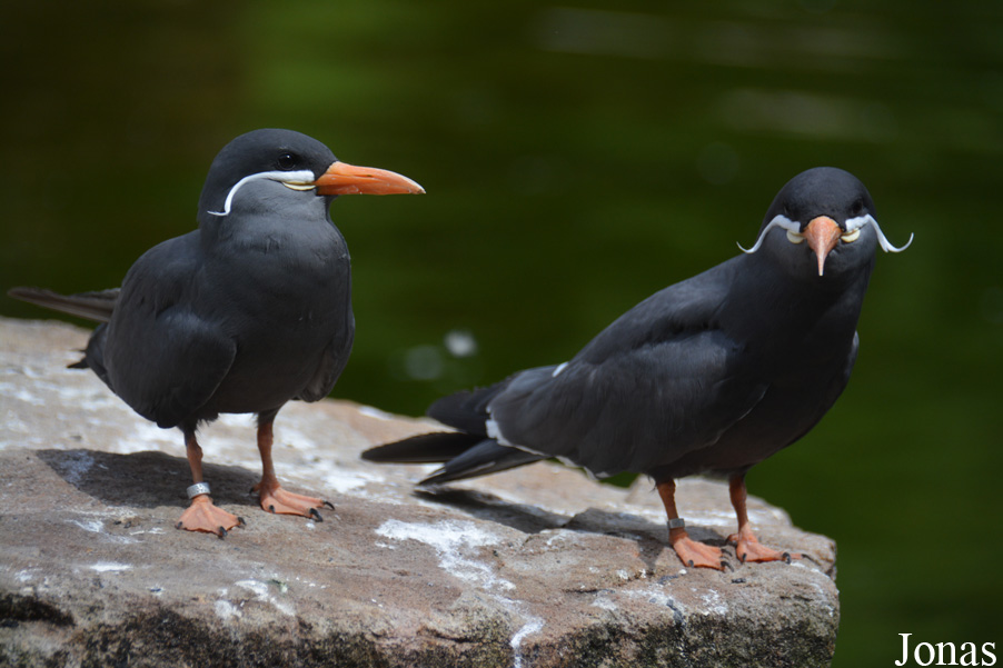 NaturZoo Rheine