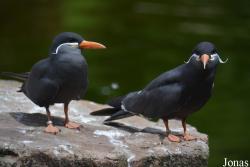 NaturZoo Rheine