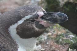 NaturZoo Rheine