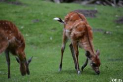 NaturZoo Rheine
