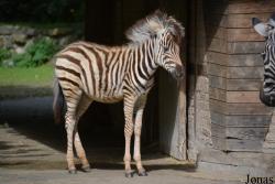 NaturZoo Rheine