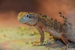 NaturZoo Rheine