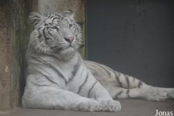 Tianjin Zoo