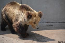 Tianjin Zoo