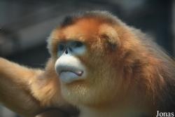 Tianjin Zoo
