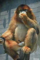 Tianjin Zoo