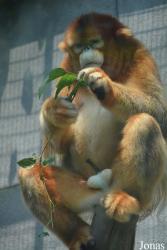 Tianjin Zoo