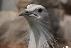 Beijing Zoological Gardens