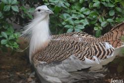 Beijing Zoological Gardens