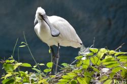 Beijing Zoological Gardens