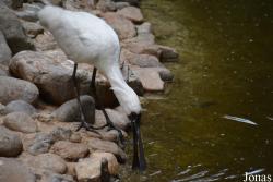 Beijing Zoological Gardens