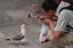 Beijing Zoological Gardens