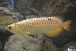 Beijing Zoological Gardens