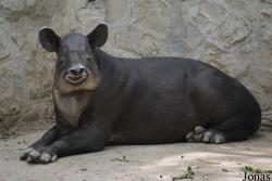 Beijing Zoological Gardens