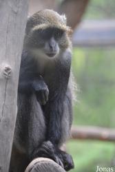 Beijing Zoological Gardens
