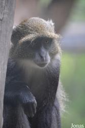 Beijing Zoological Gardens