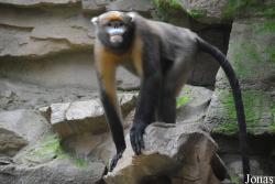 Beijing Zoological Gardens