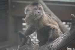 Beijing Zoological Gardens