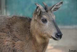 Beijing Zoological Gardens