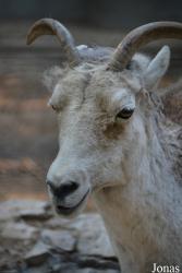 Beijing Zoological Gardens