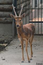 Beijing Zoological Gardens