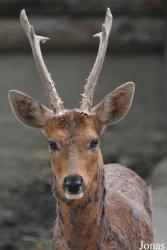 Beijing Zoological Gardens