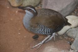 Philadelphia Zoo