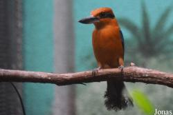 Philadelphia Zoo