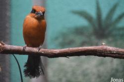 Philadelphia Zoo