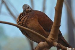 Philadelphia Zoo