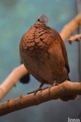 Philadelphia Zoo