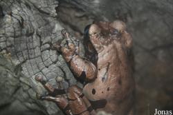 Smithsonian National Zoological Park